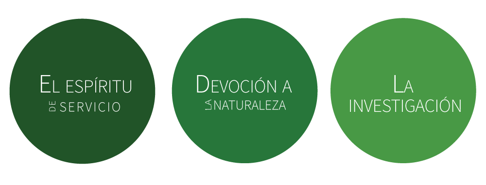 The three pillars of Tierra Verde image